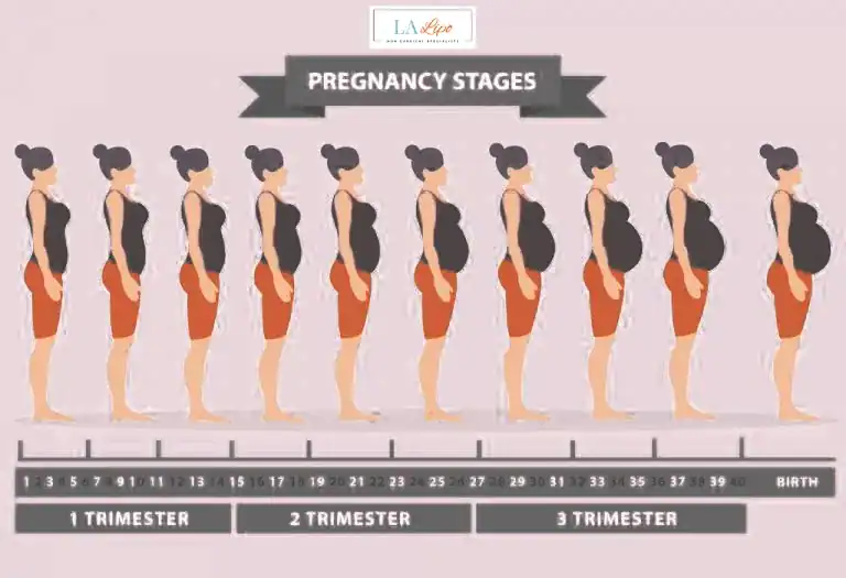 First Trimester (Weeks 1–12): Early Changes You Might Not Notice East Bedfont